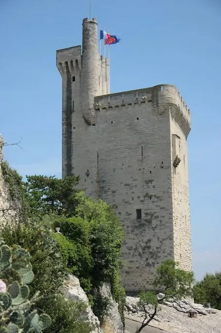 La Cigale - Vieux Village - Charmante Maisonnette Climatisee Avec Jardin Villeneuve-les-Avignon 0*,